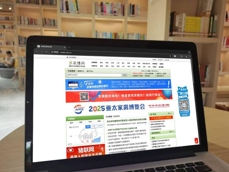 手工羽毛扇網(wǎng)站如何憑借傳統(tǒng)工藝傳承擴大流量？同行都是怎么做的？
