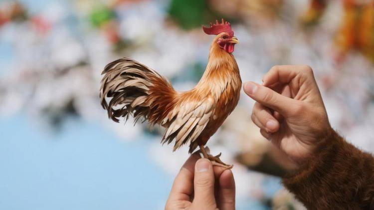手工羽毛扇網(wǎng)站如何憑借傳統(tǒng)工藝傳承擴大流量？同行都是怎么做的？